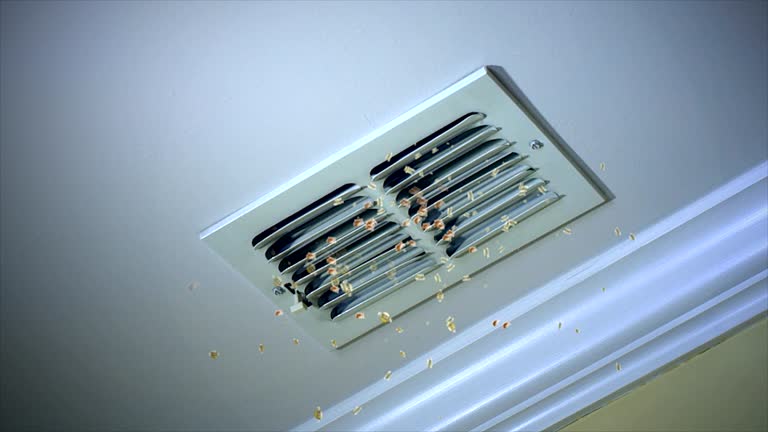 Best Commercial Air Duct Cleaning  in Silverton, OH